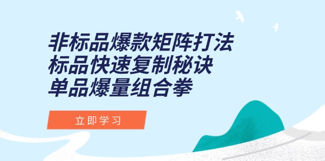 非标品爆款矩阵打法，标品快速复制秘诀，单品爆量组合拳-云享网创