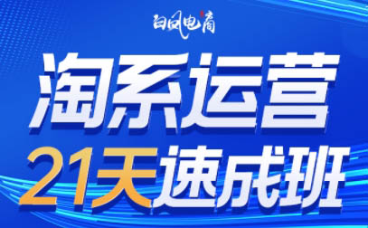 白凤电商·淘系运营21天速成班(更新6月)-云享网创