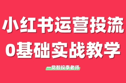 李老师·小红书运营投流，0基础实战教学(更新)-云享网创