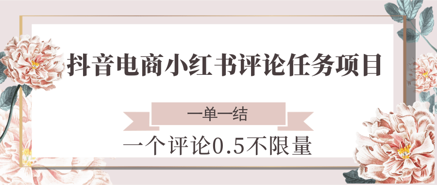 抖音电商小红书评论任务项目，一个评论0.5，一单一结 不限量-云享网创