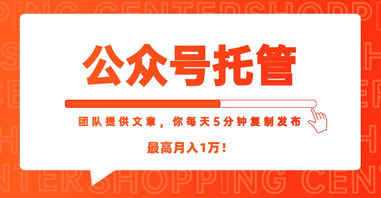 【公众号托管 】我提供文章，你每天５分钟复制发布，最高月入1W-云享网创
