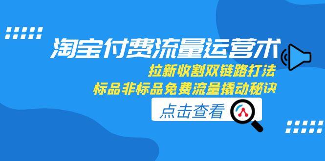 淘宝付费流量运营术，拉新收割双链路打法，标品非标品免费流量撬动秘诀-云享网创