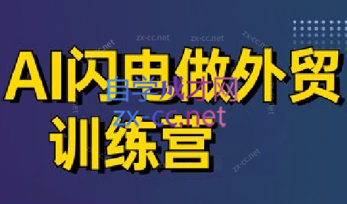 大卫·AI闪电做外贸训练营(更新6月)-云享网创