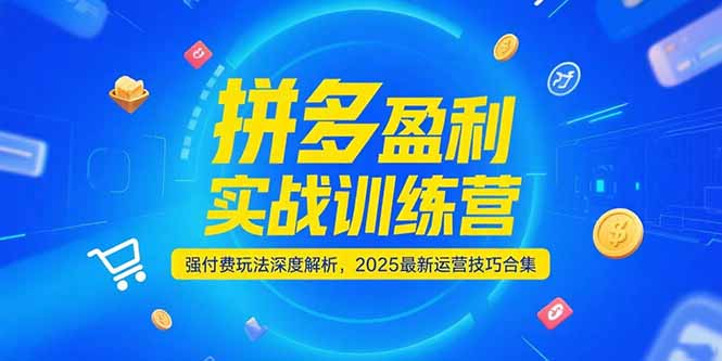 拼多多盈利实战训练营，强付费玩法深度解析，2025运营技巧合集-更新6月-云享网创