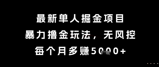 最新单人掘金项目，暴力撸金玩法，无风控，每个月多挣5k+【揭秘】-云享网创