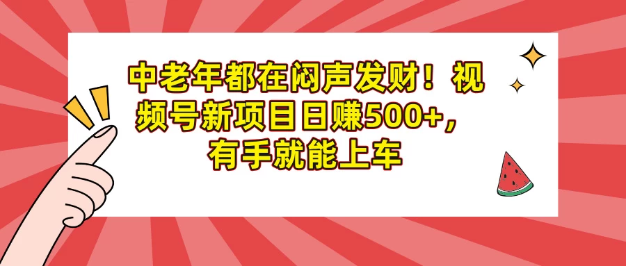 中老年都在闷声发财！视频号新项目日赚500+，有手就能上车-云享网创