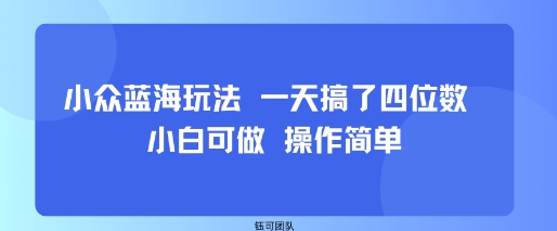 小众蓝海玩法 一天搞了四位数 小白可做 操作简单-云享网创