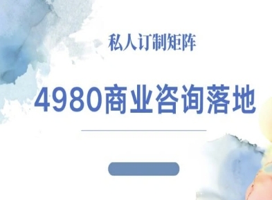 4980商业咨询师落地课程-ip运营高客单教程-云享网创