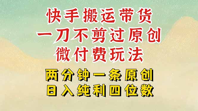 快手黑科技搬运带货，一刀不剪过原创，微付费投流玩法，轻松日入四位数…-云享网创