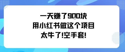 一天挣了9张用小红书做这个项目太牛了,空手套-云享网创