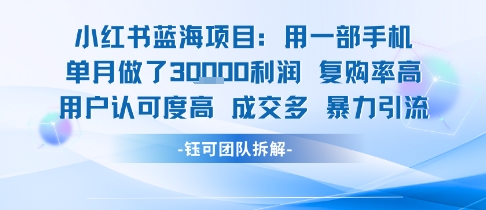 小红书蓝海项目，一部手机单月做了3W利润，小白也能月入过1W用户认可度高成交多-云享网创