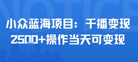 小众蓝海项目，千播变现2.5k+操作当天可变现-云享网创