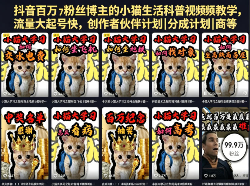 抖音百万粉丝博主的小猫生活科普视频教学，流量大起号快，创作者伙伴计划|分成计划|商单|收徒等-云享网创