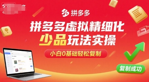 拼多多虚拟精细化少品玩法实操，小白0基础轻松复制-云享网创