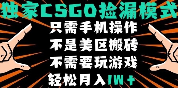 CSGO自动捡漏项目，最新独家玩法，不是美区搬砖，不需要了解和玩游戏，新手小白轻松月入1W+【揭秘】-云享网创
