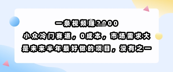 一条视频挣1k，小众冷门赛道，0成本，市场需求大，是未来半年最好做的项目，没有之一-云享网创
