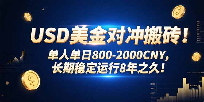 USD美金对冲搬砖!单人单日800-2000CNY，长期稳定运行8年之久!-云享网创