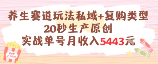 养生赛道玩法私域+复购类型，20秒生产原创实战单号月收入5k+-云享网创