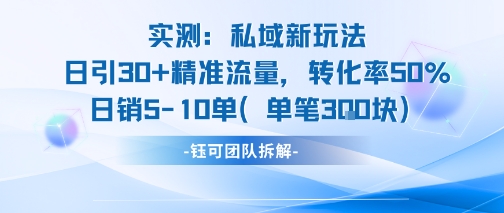 实测私域新玩法日引30加精准流量转化率50%日销5-10单每笔3张-云享网创