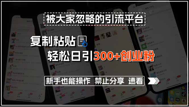 被大家忽略的引流平台，复制粘贴轻松日引300+创业粉，新手也能操作，禁…-云享网创