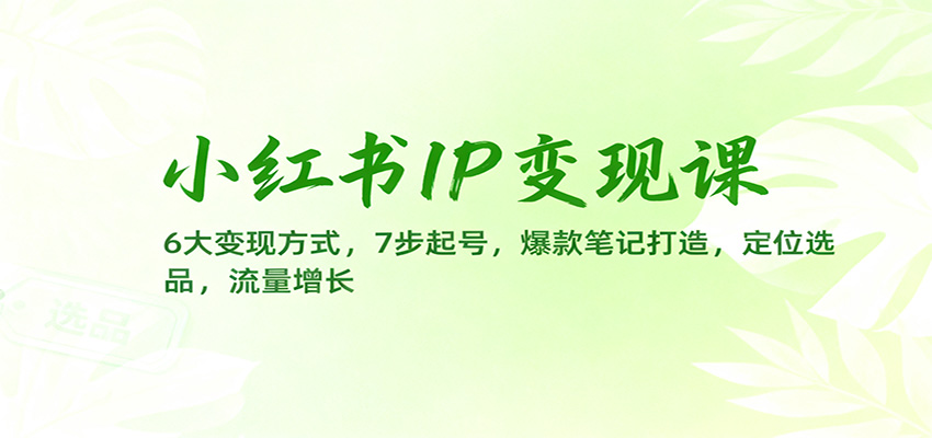小红书IP变现课：6大变现方式，7步起号，爆款笔记打造，定位选品，流量增长-云享网创