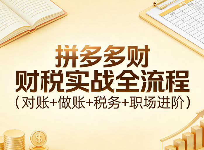 拼多多财税实战全流程(对账+做账+税务+职场进阶)-云享网创
