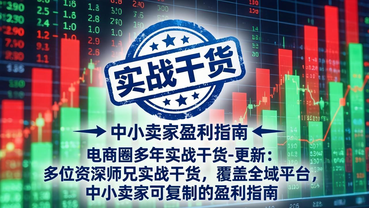 电商圈多年实战干货-更新2026：多位资深师兄实战干货/覆盖全域平台，中小卖家可复制的盈利指南-云享网创