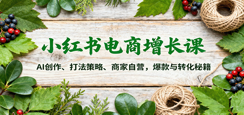 小红书电商增长课：AI创作、打法策略、商家自营，爆款与转化秘籍-云享网创