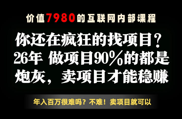 26年请不要疯狂的找项目了，卖项目远比你想象的暴利，你也可以月入10W+【揭秘】-云享网创