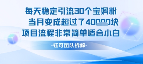 每天稳定引流30个人 当月变成超过了4个W项目流程非常简单适合小白-云享网创