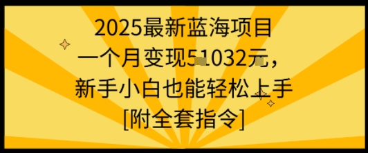 2025最新蓝海项目一个月变现1w+新手小白也能轻松上手【附全套指令】-云享网创