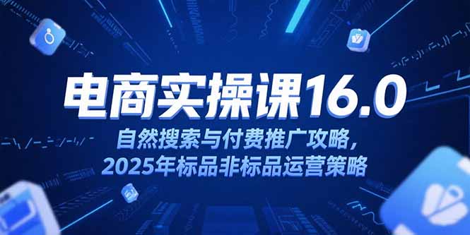 淘宝电商运营课16.0，自然搜索与付费推广攻略，2025年标品非标品运营策略-云享网创