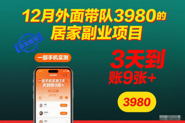 12月外面带队3980的居家副业项目，一部手机实测3天到账9张+，首发教程【揭秘】-云享网创