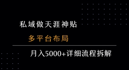 私域做天涯神贴 多平台布局 月入5k+详细流程拆解-云享网创