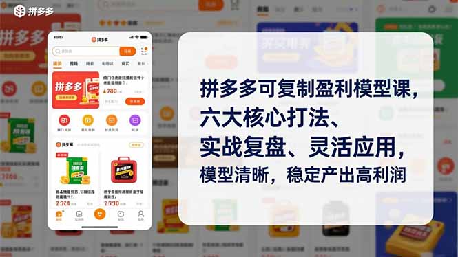拼多多可复制盈利模型课，六大核心打法、实战复盘、灵活应用，模型清晰，稳定产出高利润-云享网创