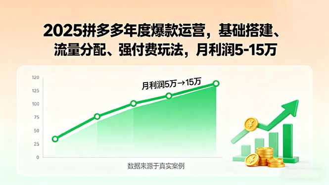 2025拼多多年度爆款运营，基础搭建、流量分配、强付费玩法，月利润5-15万-云享网创