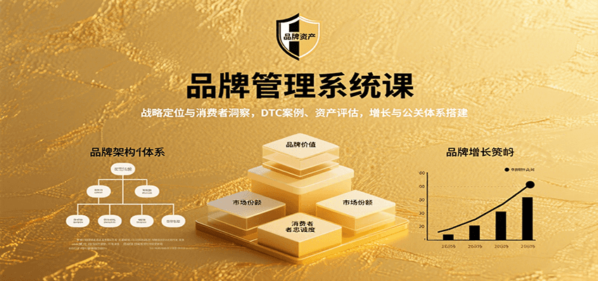 品牌管理系统课：战略定位与消费者洞察，DTC案例、资产评估，增长与公关体系搭建-云享网创