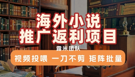 海外小说推广返利项目，视频投喂， 一刀不剪，矩阵批量-云享网创
