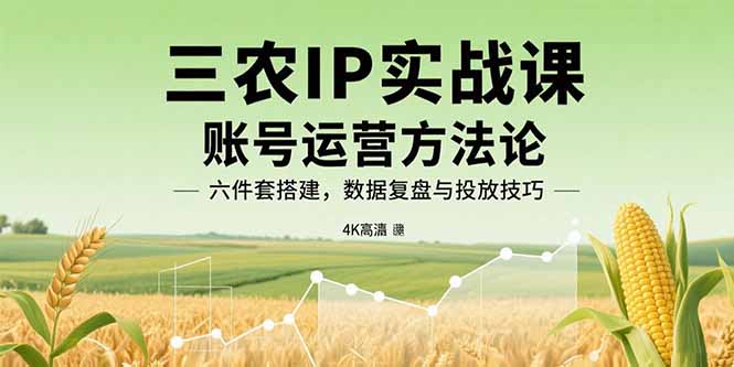 三农IP实战课：账号运营方法论，六件套搭建，数据复盘与投放技巧-云享网创