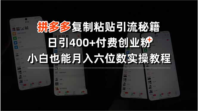 拼多多复制粘贴引流秘籍，日引400+付费创业粉，小白也能月入六位数实操…-云享网创