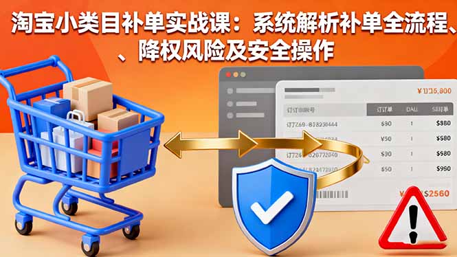 淘宝小类目补单实战课：系统解析补单全流程、降权风险及安全操作-云享网创