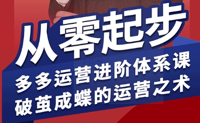 拼多多运营进阶系统课，从零起步，多多运营进阶体系课，破茧成蝶的运营之术-云享网创