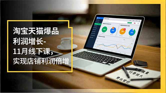 淘宝天猫爆品利润增长-11月线下课,免费流量、付费放大、费比管控,实现店铺利润倍增-云享网创