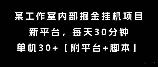 某工作室内部掘金挂G项目，新平台，每天30分钟，单机30+【揭秘】-云享网创