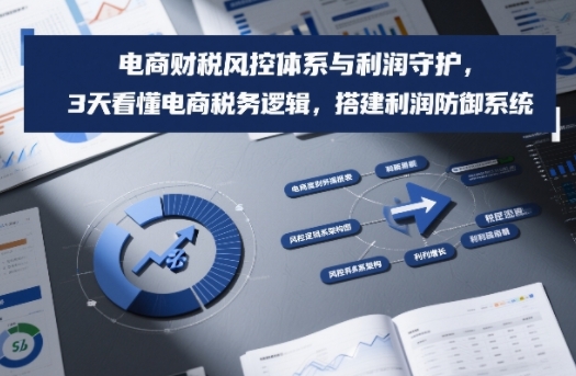 电商财税风控体系与利润守护，3天看懂电商税务逻辑，搭建利润防御系统-云享网创