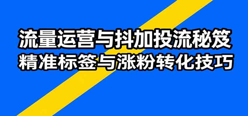 流量运营与抖加投流秘笈，含算法解析、爆款打造、精准标签与涨粉转化技巧-云享网创