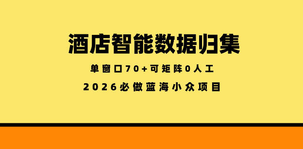 酒店智能数据归集，小众蓝海已经稳定半年之久，单窗口70+零成本矩阵开干【揭秘】-云享网创