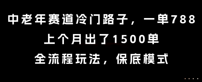 中老年赛道冷门路子，一单788，上个月出了1500单，全流程玩法，保底模式【揭秘】-云享网创