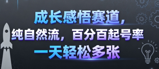 成长感悟赛道，纯自然流，百分百起号率 一天轻松多张-云享网创