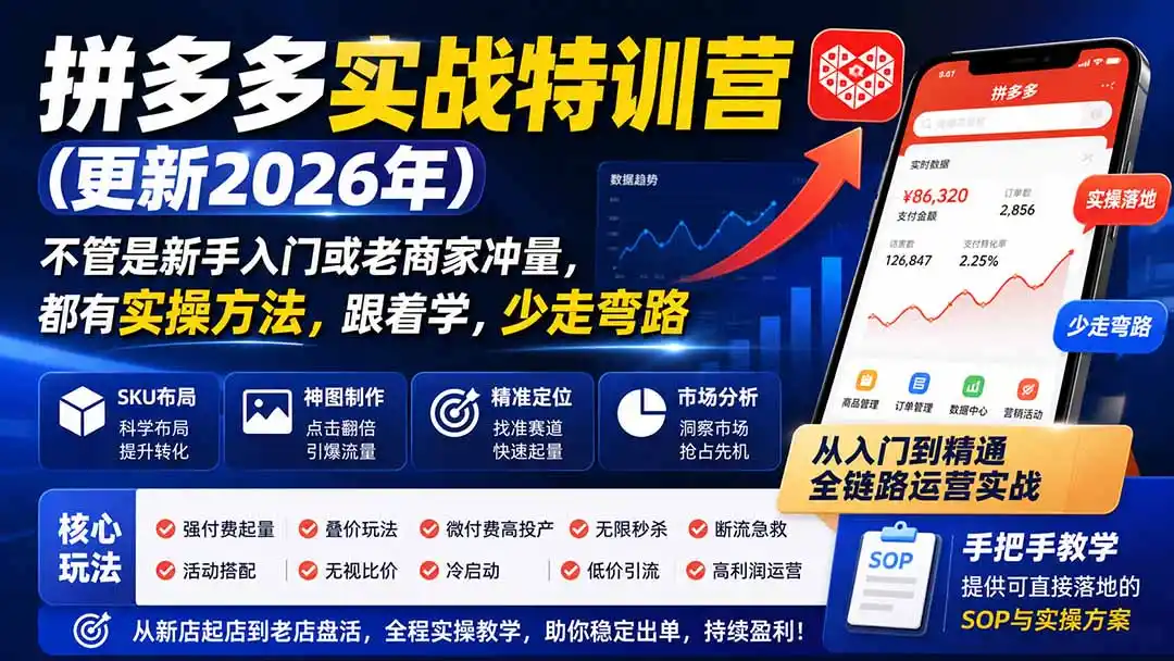 拼多多实战特训营(更新26年0827-云享网创